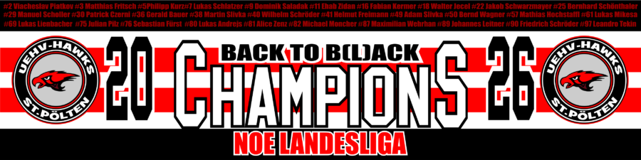 Hawks_Meister_Banner.
