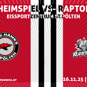 Hawls_Raptors